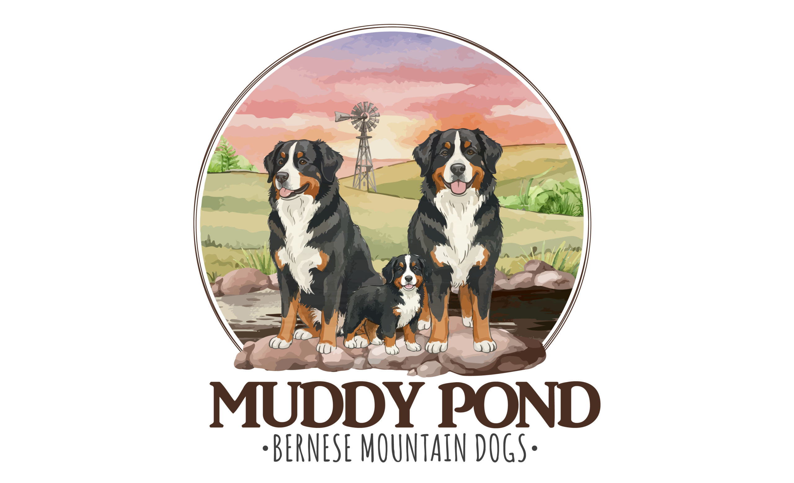 Muddy Pond Bernese Mountain Dogs